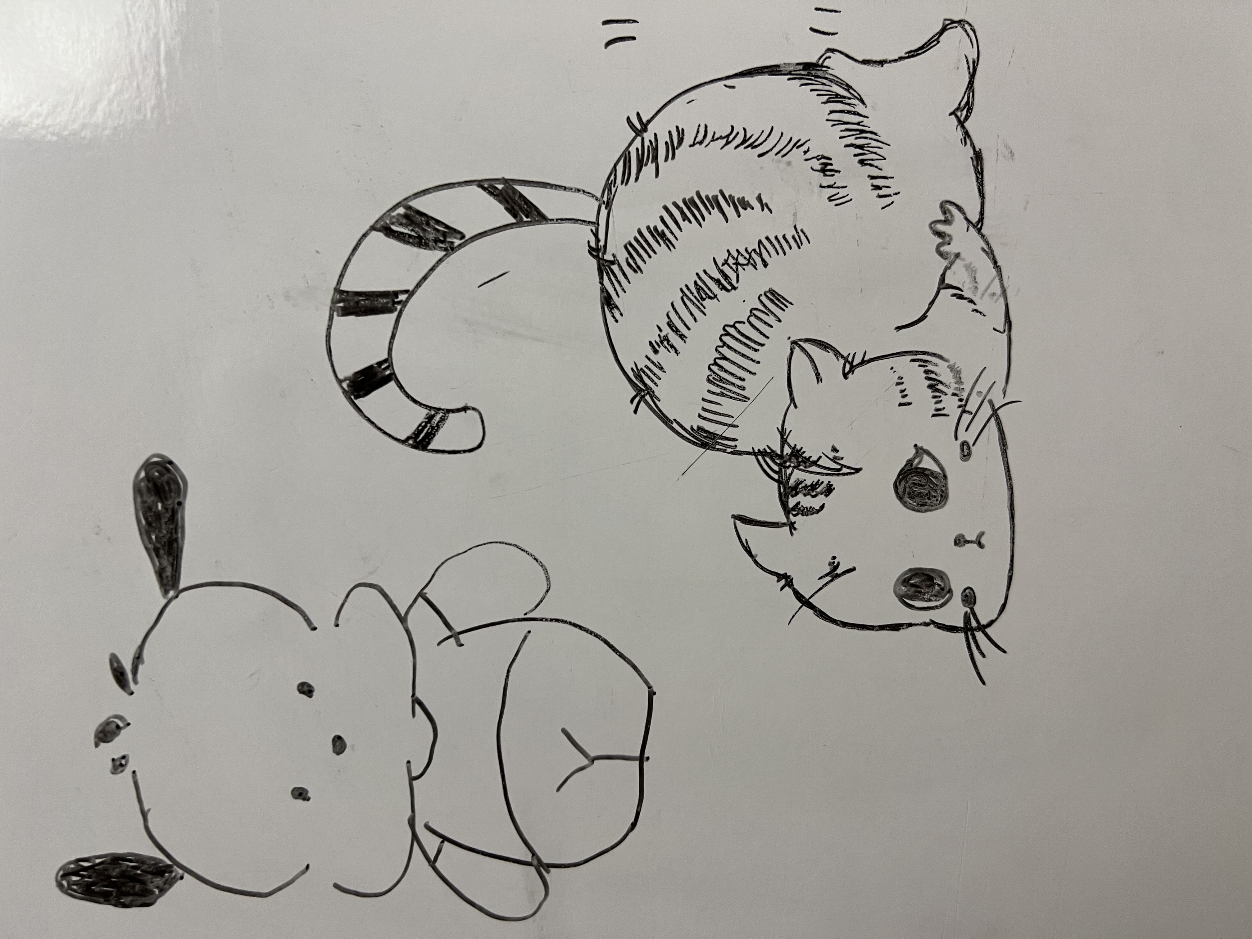 爱你不止12A个月