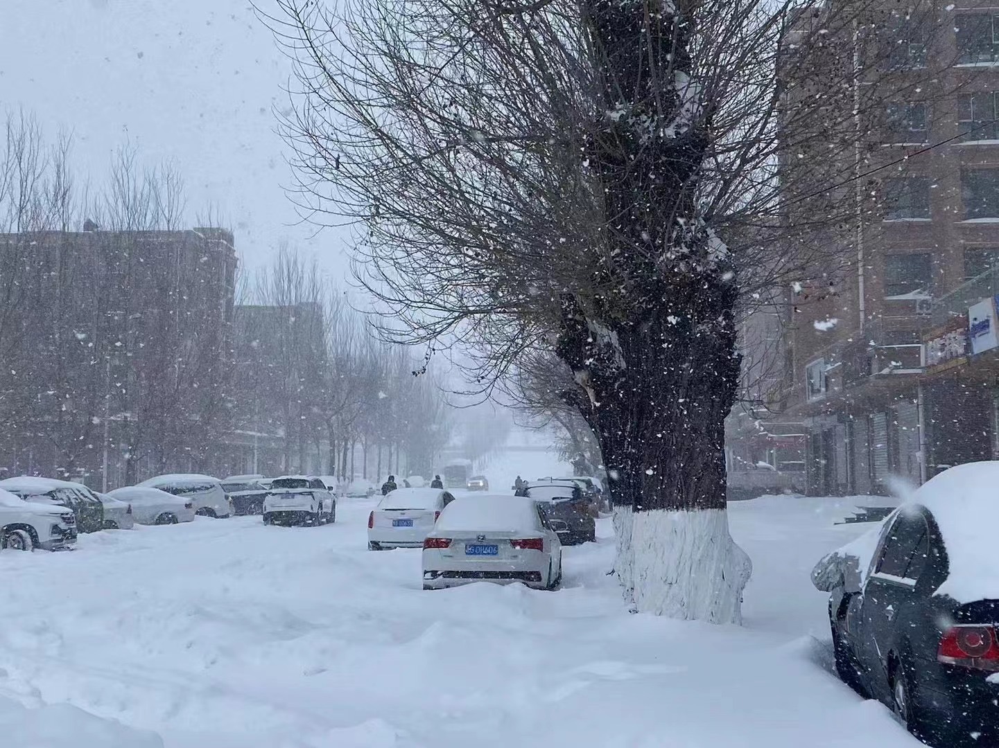 爱你不止15个月